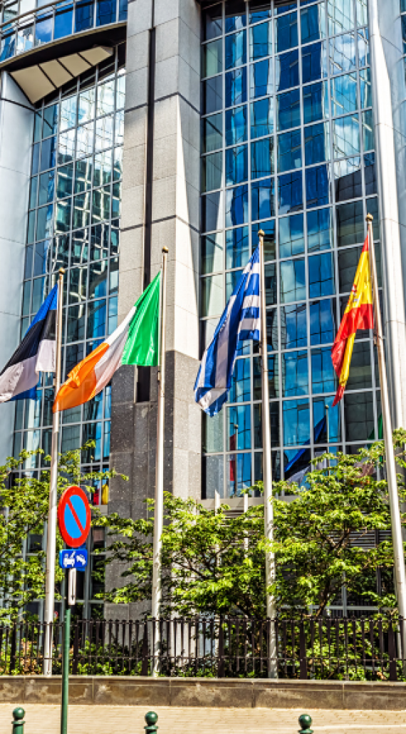 7 maggio a Bruxelles