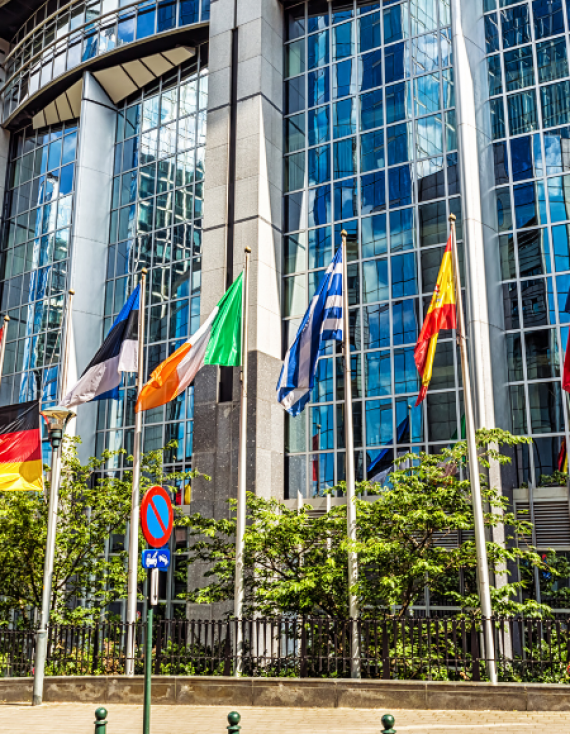 7 May in Brussels