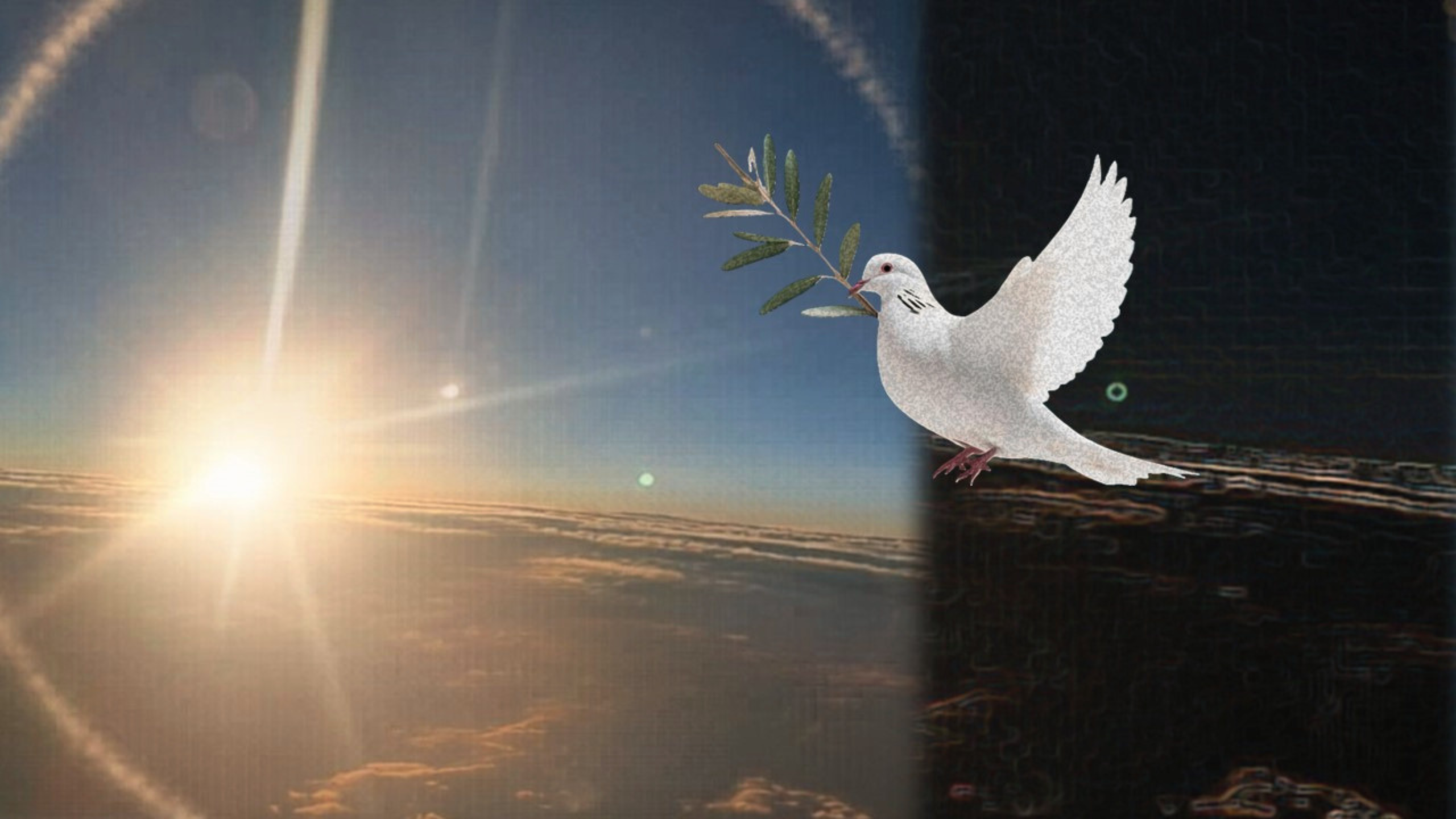 appeal for peace pasquatogether appeal for peace pasquatogether